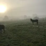 L'anerie De * סורברודט