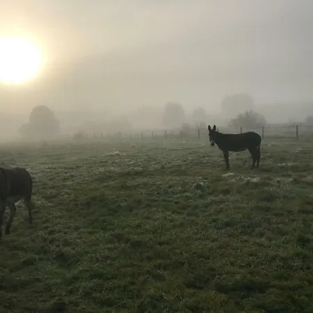 L'anerie De * Sourbrodt