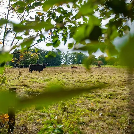 度假居 L'anerie De 索尔布罗特