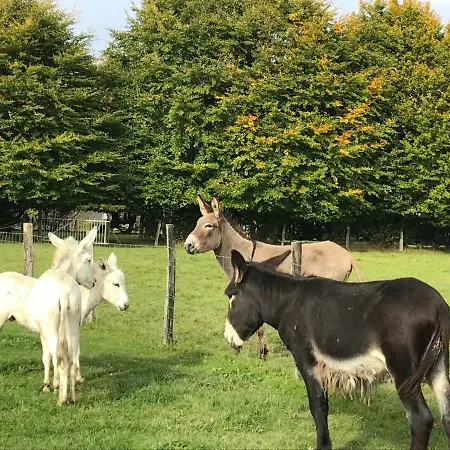 Hébergement de vacances L'anerie De Sourbrodt