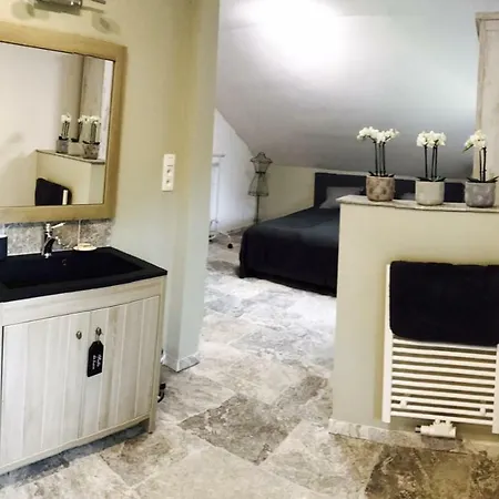 L'anerie De * 索尔布罗特